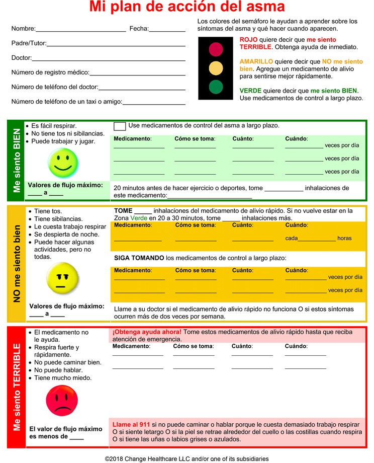 Asthma Action Plan: Illustration