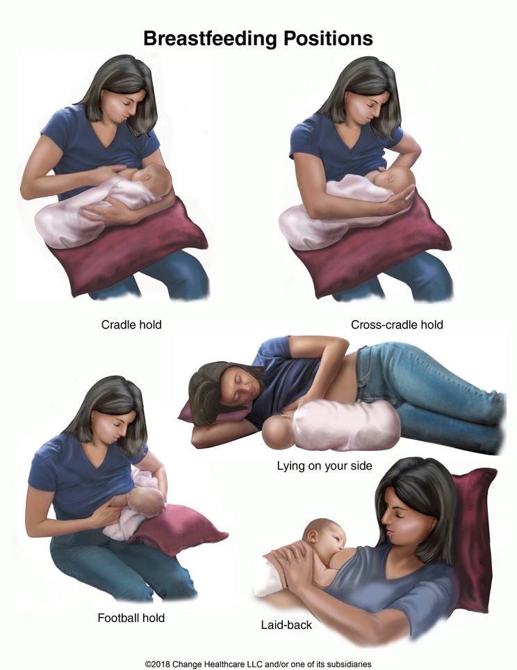 Breastfeeding Positions: Illustration