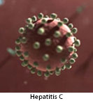 Thumbnail image of: Hepatitis C: Animation