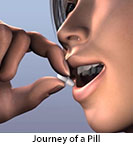 Thumbnail image of: Journey of a Pill: Animation
