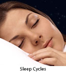 Thumbnail image of: Sleep Cycles: Animation