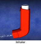 Thumbnail image of: Metered-Dose Inhaler (pediatric): Animation