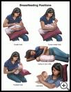 Thumbnail image of: Breastfeeding Positions: Illustration