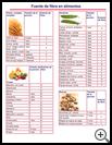 Thumbnail image of: Sources of Fiber in Foods: Illustration