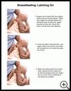 Thumbnail image of: Breastfeeding, Latching on: Illustration