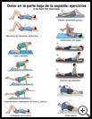 Thumbnail image of: Low Back Pain Exercises: Illustration