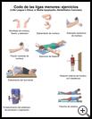 Thumbnail image of: Little Leaguer's Elbow Exercises: Illustration