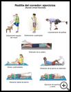 Thumbnail image of: Runner's Knee Exercises: Illustration, page 1
