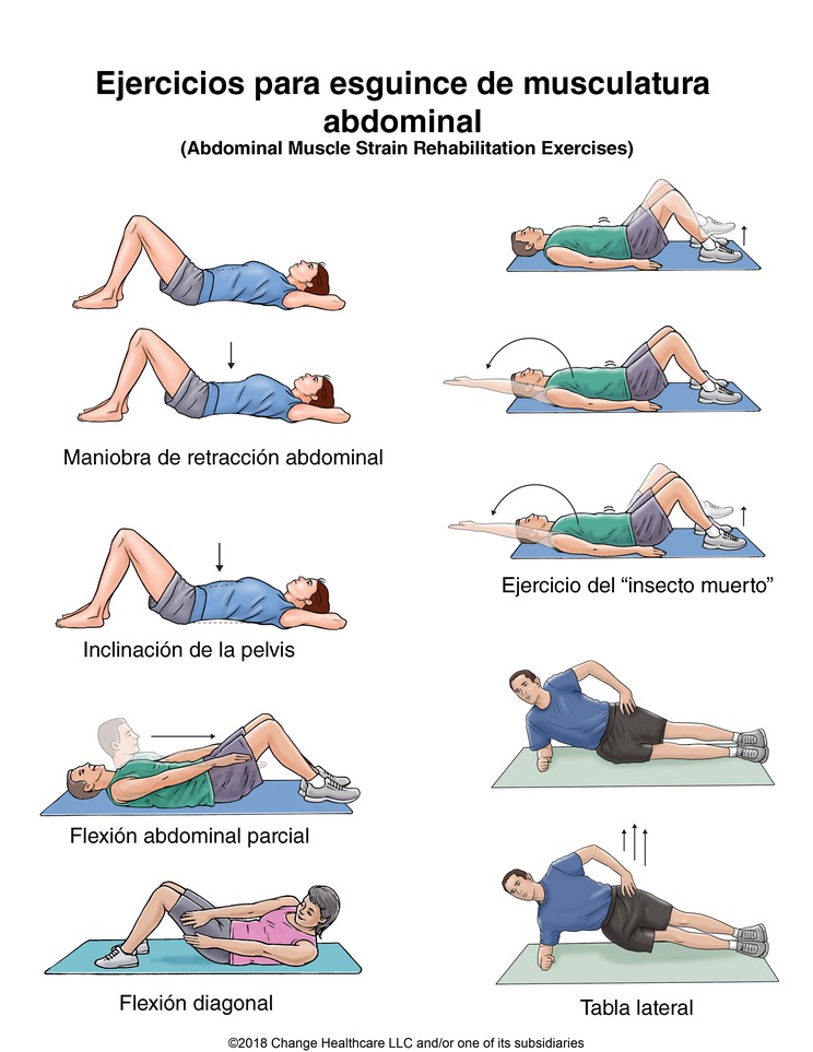 Abdominal Muscle Strain Exercises: Illustration