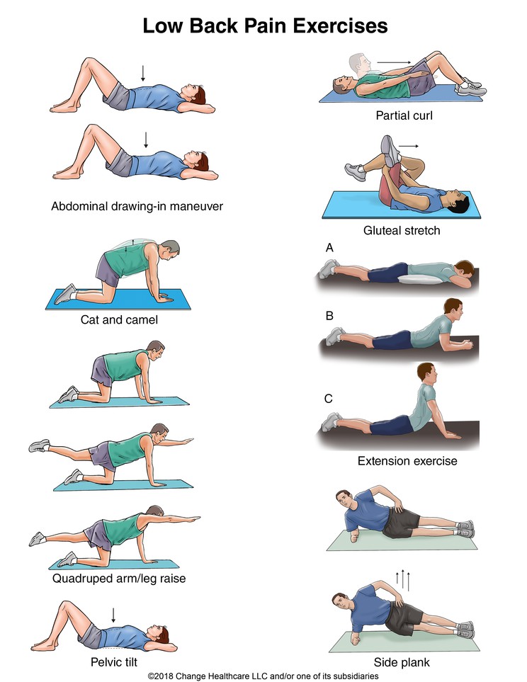 Low Back Pain Exercises: Illustration