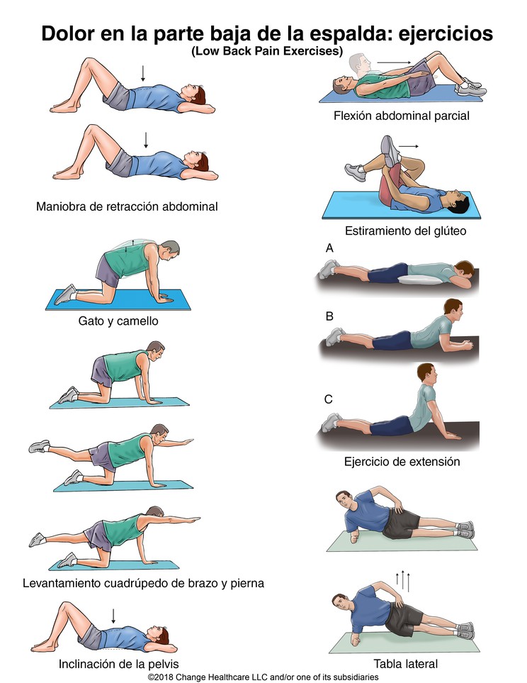 Low Back Pain Exercises: Illustration