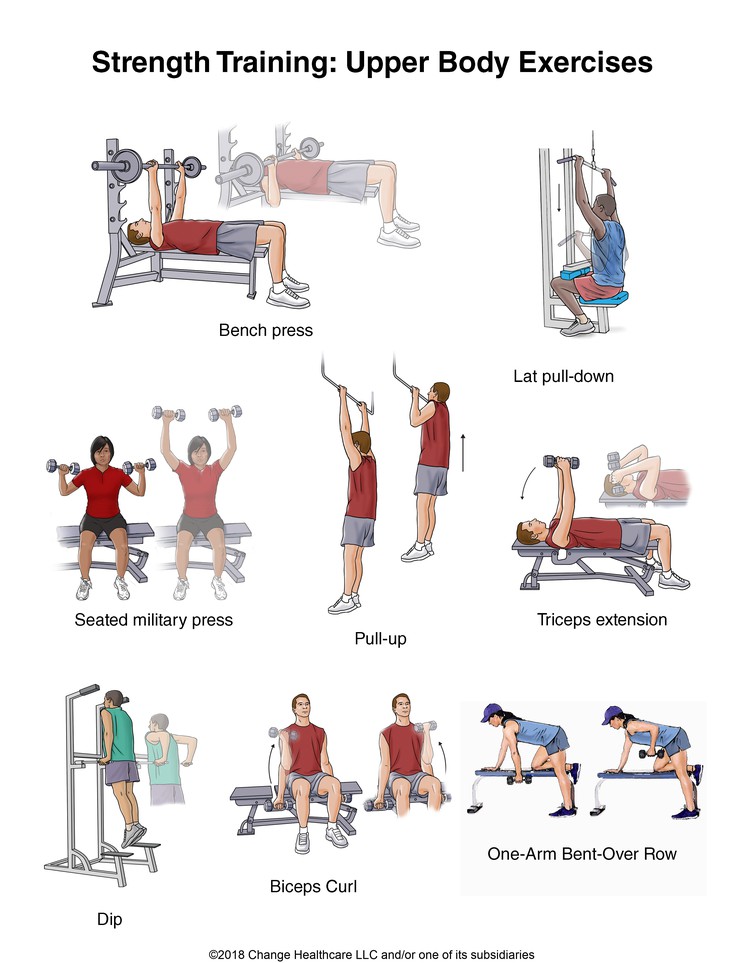 Strength Training: Upper Body Exercises, Illustration