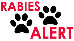 Rabies Alert Issue